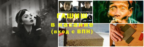 сатива Балахна