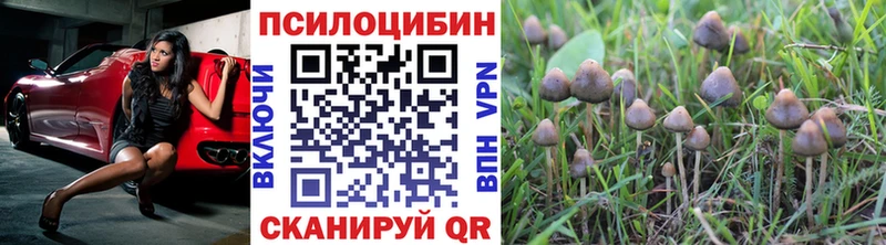Псилоцибиновые грибы MAGIC MUSHROOMS  Купить где  Нижняя Тура 